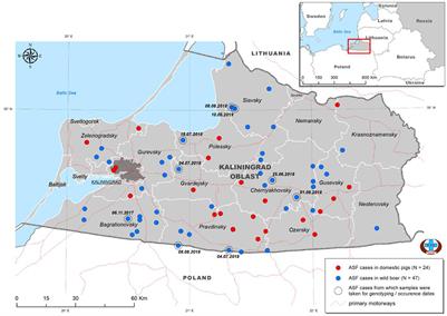 Whole-genome sequencing of African swine fever virus from wild boars in the Kaliningrad region reveals unique and distinguishing genomic mutations